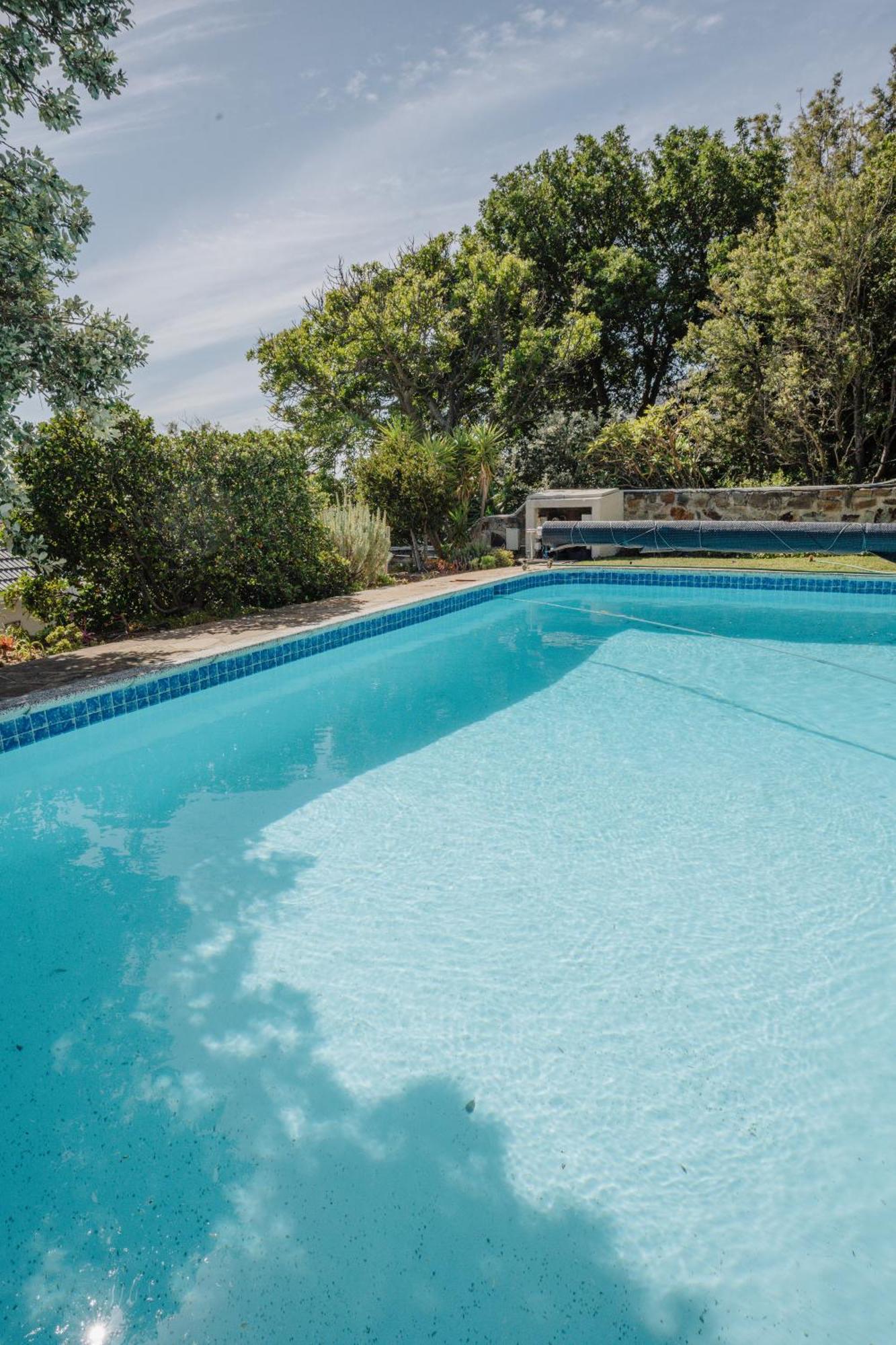 Echo Friendly Sunny Contemporary Garden Flat Daire Cape Town Dış mekan fotoğraf